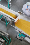 industries food production